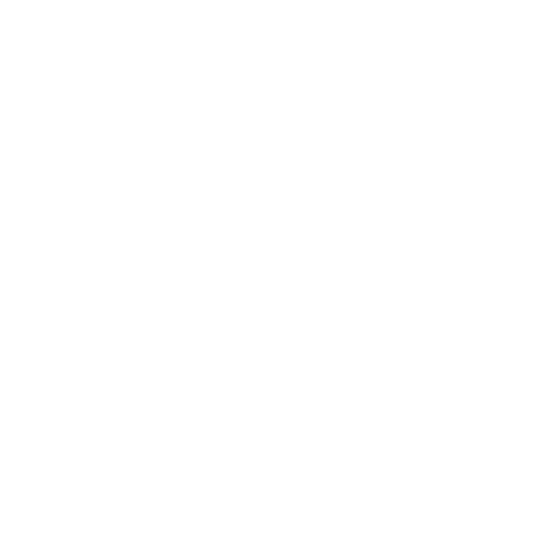 Ai Agent