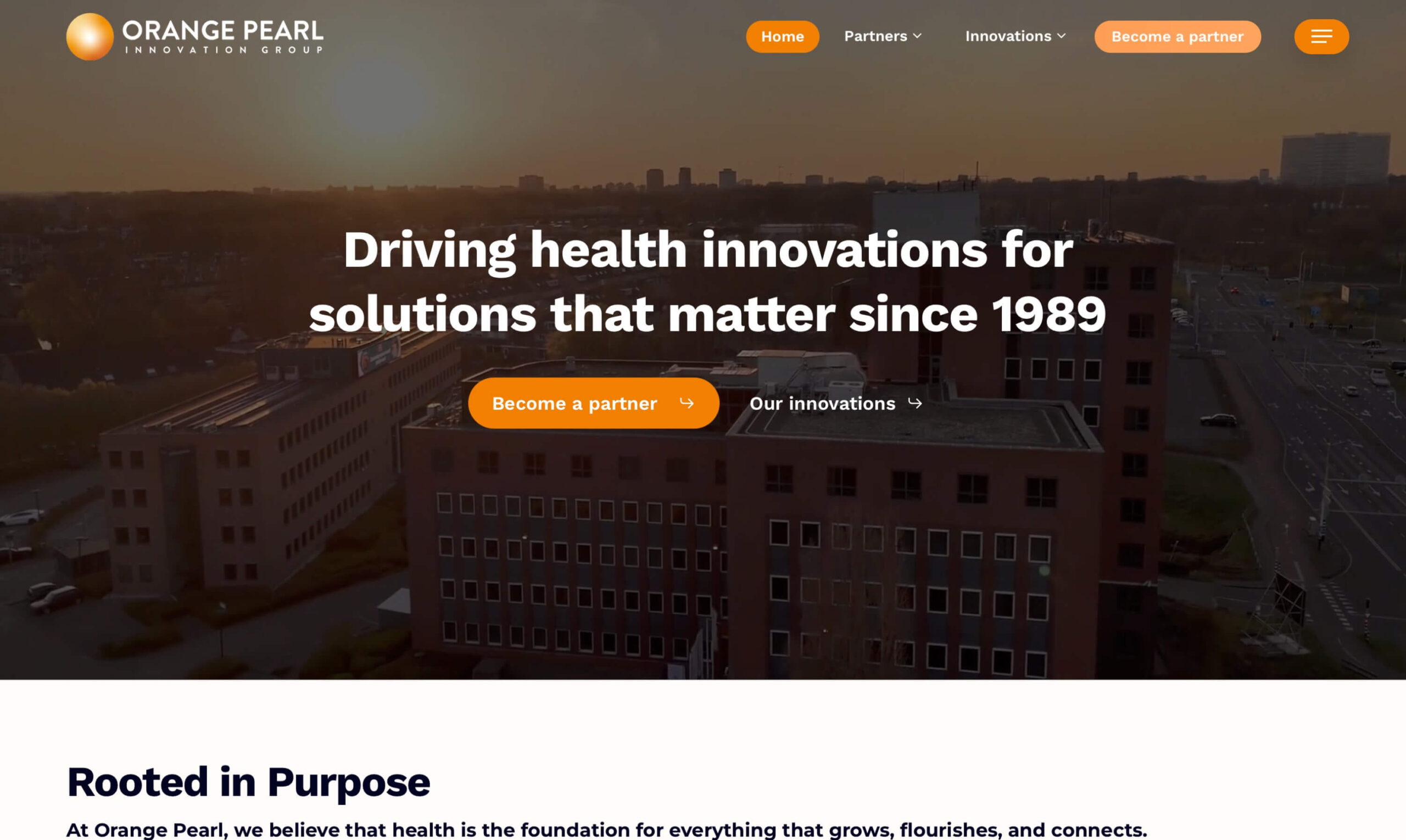 B2B website Orange Pearl
