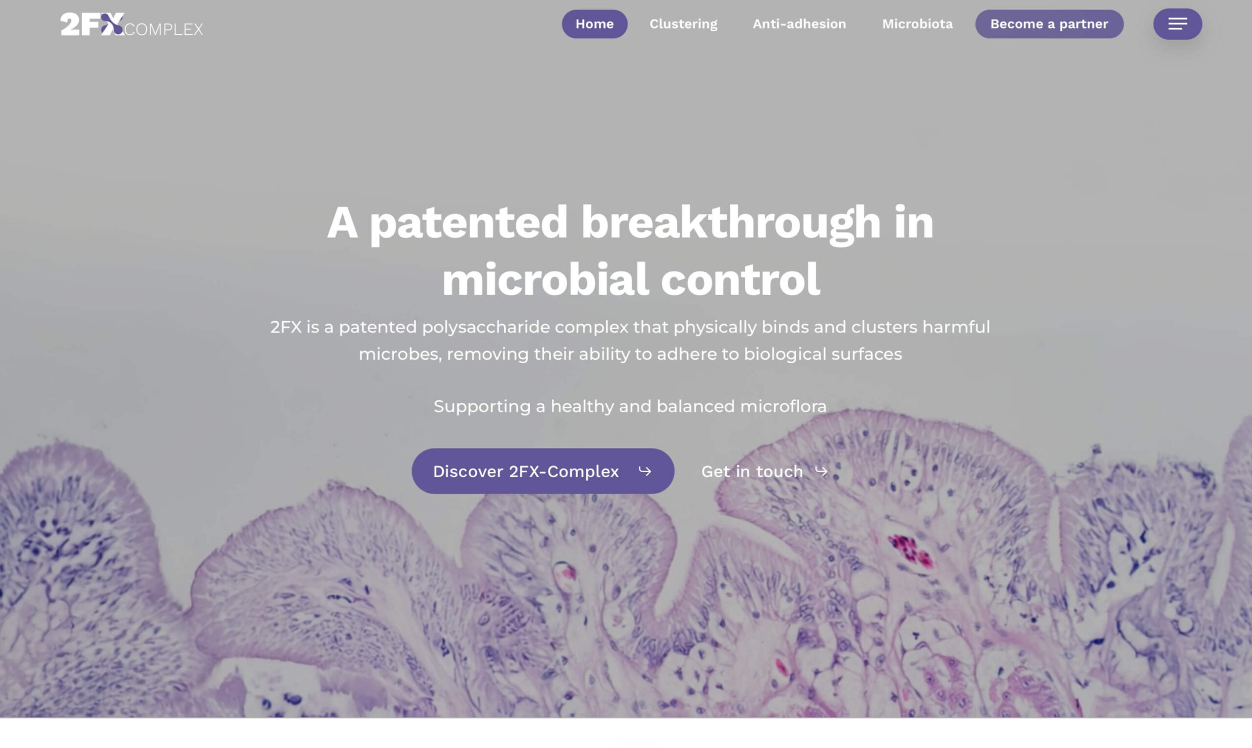 B2B website 2FX Complex